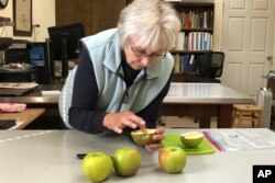In this Oct. 30, 2019, photo, Joanie Cooper, of the Temperate Orchard Conservancy, examines a rare apple in her lab in Molalla, Oregon. Cooper and her colleagues have helped identify many of the 13 "lost" apple varieties that have been rediscovered in recent years by the Lost Apple Project in eastern Washington and northern Idaho. (AP Photo/Gillian Flaccus)
