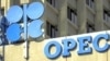 احتمال کاهش تولید یک میلیون بشکه نفت در روز از سوی اوپک پلاس
