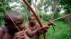 Une société forestière française accusée de détruire l'habitat des Pygmées au Cameroun