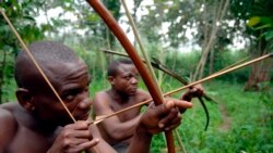 La société civile dénonce l'exclusion des pygmées au Congo-Brazzaville