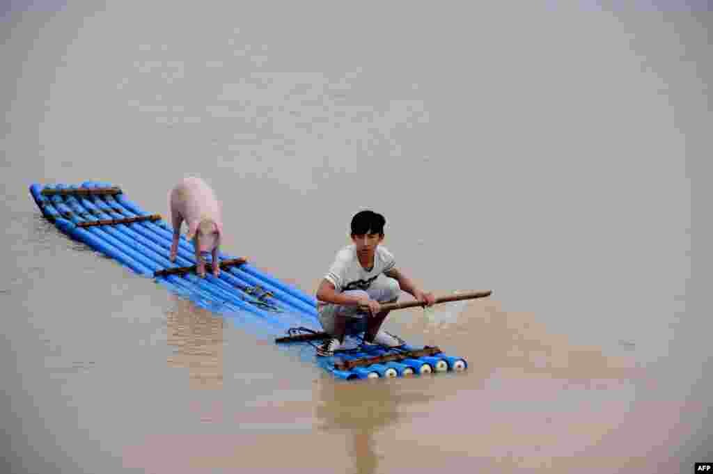 连日暴雨使得浙江2万多名民众被疏散。图为当地时间8月20日一名男子带着一头猪划着筏子离开洪水淹没的地方。