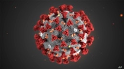 Coronavirus