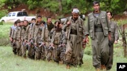 Đảng Công nhân người Kurd PKK kêu gọi người Kurd ở Thổ Nhĩ Kỳ cầm súng để bảo vệ các thị trấn biên giới của Syria. 
