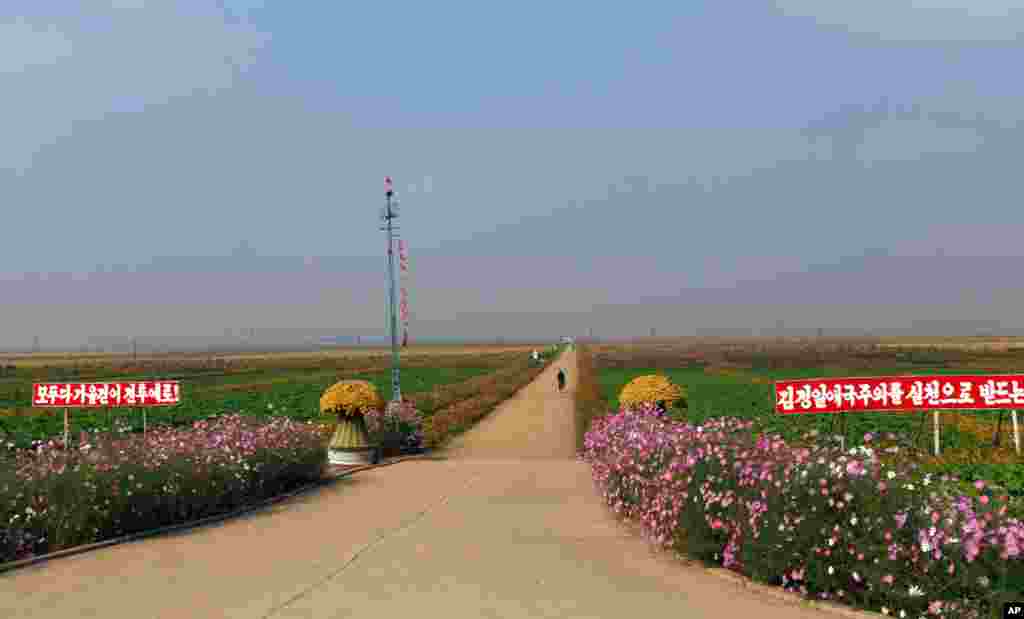 A North Korean woman rides a bicycle at Migok Cooperative Farm in Sariwon, North Hwanghae Province, North Korea. The signs read "To fight for harvesting," left, and "To perform patriotism led by Kim Jong Il." 