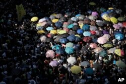 '우산혁명' 지도자들에 대한 징역형에 항의하는 홍콩 시민들이 20일 우산을 들고 도심에 모여 시위하고 있다.