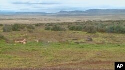 FILE - A video image courtesy of KTVB-TV shows the remote area where skeletal remains were found in a badger hole north of Mountain Home, Idaho, April 15, 2017.