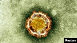 Gambar mikroskop elekton dari virus corona dalam sebuah foto oleh Dinas Kesehatan Inggris di London (foto:doc).