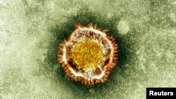 Gambar mikroskop virus korona milik Badan Perlindungan Kesehatan di London. 