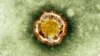 New SARS-Like Virus Can Probably Pass Person-to-Person