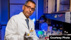 Kattesh Katti, PhD, University of Missouri, prepares gold nanoparticles in his lab.(Credit Justin Kelley, University of Missouri)