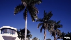 Fort Myers, Florida, tempat Thomas Edison membangun rumah musim dingin. (Carol M. Highsmith)