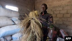 Un ancien migrant d'Italie et maintenant directeur de l'association des producteurs de riz, Pape Samba Diane, à Nganda, Senegal, le 6 décembre 2017.