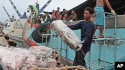Workers unload frozen fish from a Thai fishing boat in Ambon, Indonesia. Large numbers of migrants pass through Thailand each year. The U.N. says Asia-Pacific area countries hosted 59 million migrant workers in 2013, and the number is rising.