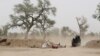 Report: Cameroon Torturing Suspects in Boko Haram Fight