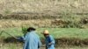 Rural Anger Fuels Thailand's Red Shirts