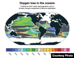 Deoxgenation due to climate change is already detectable in some parts of the ocean. New research from NCAR finds that it will likely become widespread between 2030 and 2040. Other parts of the ocean, shown in gray, will not have detectable loss of oxygen due to climate change even by 2100. (Courtesy: Matthew Long, NCAR)