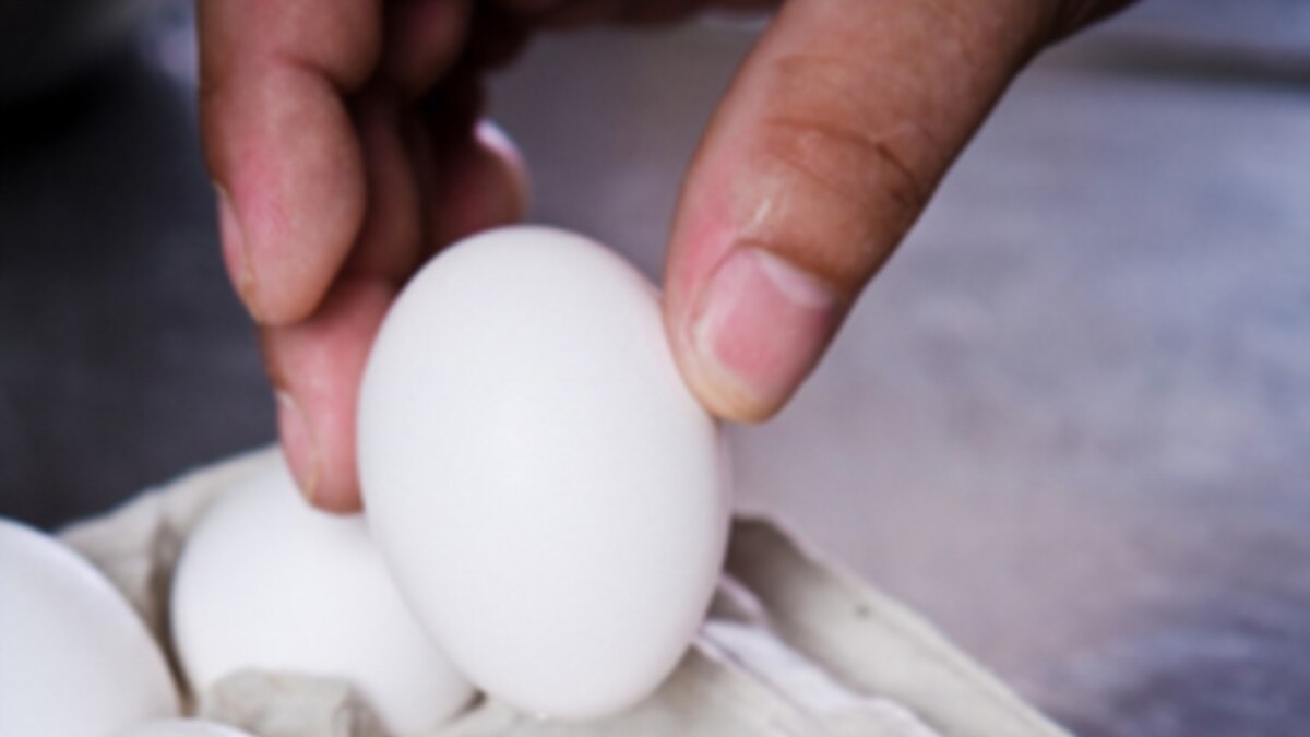 massive-egg-recall-raises-food-safety-questions