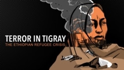 Terror in Tigray