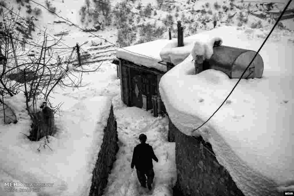 برف سنگین در یک روستان اطراف سنندج عکس: سعید گلی