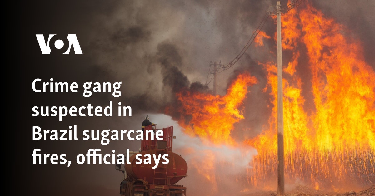 Official: Criminal gang suspected of being responsible for sugar cane fires in Brazil