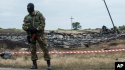 A pro-Russian fighter guards the crash site of a Malaysia Airlines jet near the village of Hrabove, eastern Ukraine, July 19, 2014.
