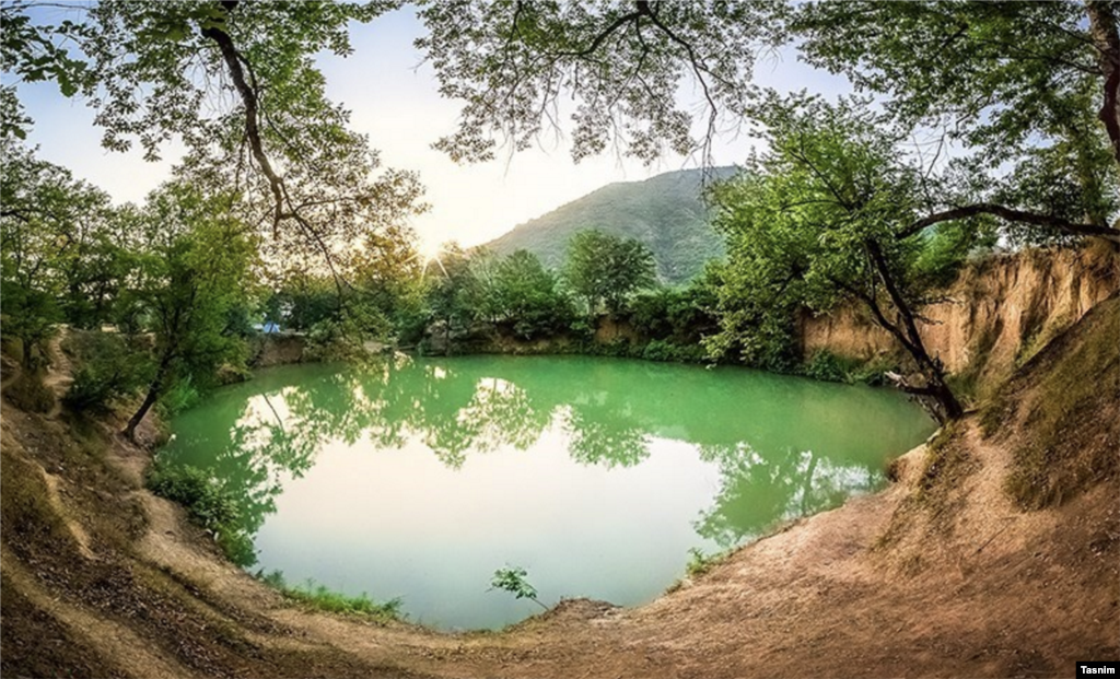 طبیعت تابستانی جنگل اولنگ و چشمه گل رامیان در استان گلستان عکس: علی دلک آبادی 