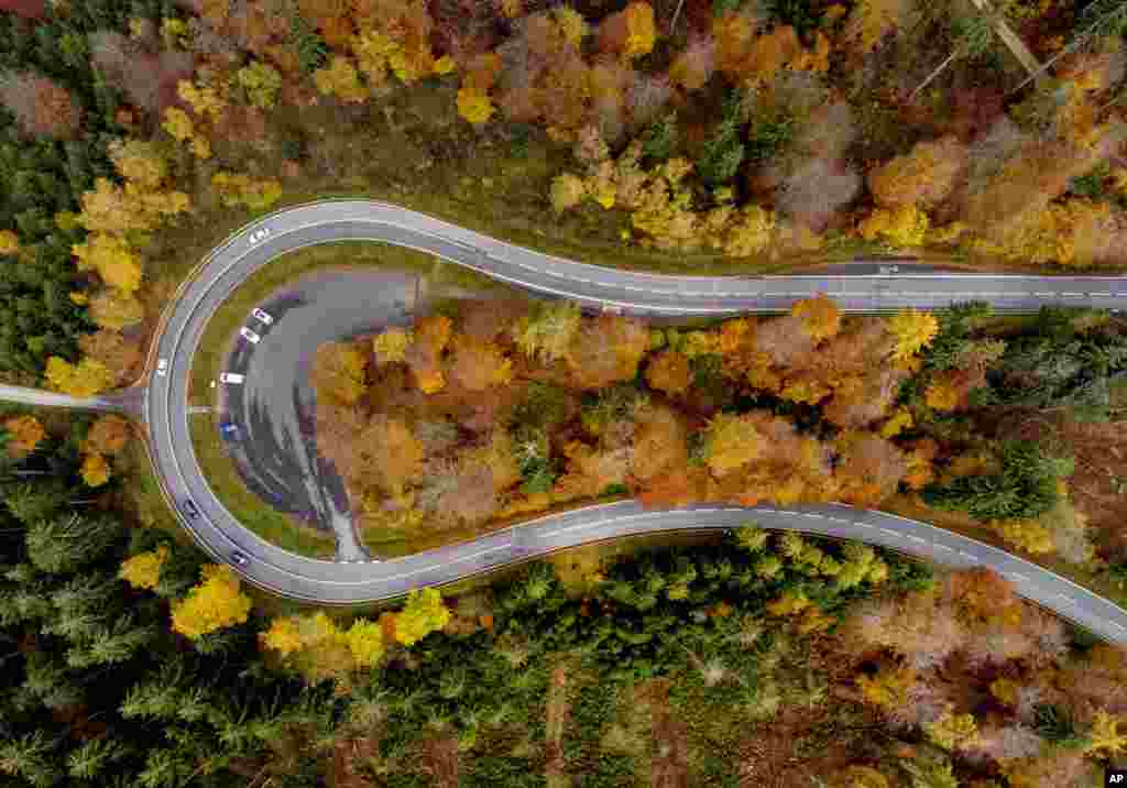 Colorful trees stand near a road through the Taunus region near Frankfurt, Germany.