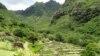 Ancient Hawaiians built a system of terraces in the Limahuli valley to grow taro and other crops.