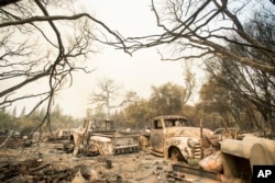Vintage trucks burned by a wildfire rest in a grove near Oroville, Calif., July 8, 2017. Residents were ordered to evacuate from the rural area as flames climbed tall trees.
