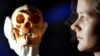 Seorang pegawai Museum Sains di London, Inggris, memamerkan model tengkorak kepala manusia purba Homo Floresiensis atau Hobbit yang ditemukan di Liang Bua, Flores, NTT, 27 Oktober 2004. (Foto: Reuters)