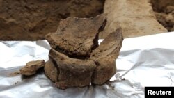 A base of a Neolithic jar is seen being prepared for sampling for residue analysis in this handout photo received November 13, 2017. Judyta Olszewski/Handout via REUTERS