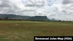Le gazon de type Bermuda Tifway 419 qui sera revêtu sur les stades d'entrainement de GarouaCameroun, 2 août 218. (VOA/ Emmanuel Jules Ntap)