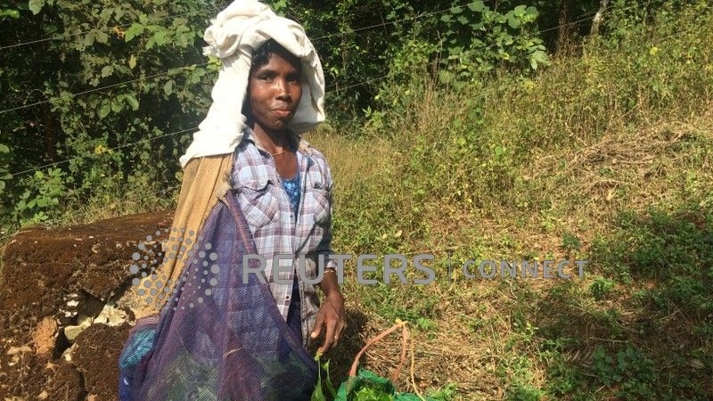 Indian Slaves Trade Life of Service for Leadership Position