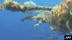 Lëndët plastike në oqeane, më të dëmshme se ndryshimi klimatik