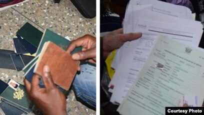 Chicago Seized Fake Id