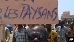 Ivorian farmers protest an ongoing cocoa embargo by major foreign export companies