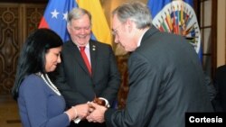 La canciller venezolana recibe el mallet de manos del embajador uruguayo, Hugo Cayrús. Atrás, embajador Roy Chaderton.