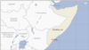 Serangan AS Tewaskan Manajer Perusahaan Telkom Somalia
