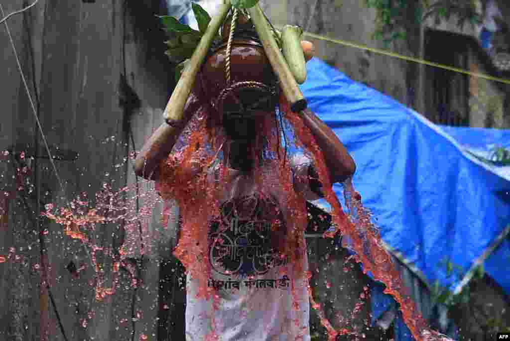 Hindu devotee breaks a dahi-handi (curd-pot) suspended in the air from atop a ladder during &#39;Janmashtami&#39; festival celebrations marking the birth of Hindu God Lord Krishna, in Mumbai, India.