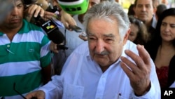 Presiden Jose Mujica memprakarsai RUU yang akan melegalkan produksi ganja di Uruguay di bawah pengawasan pemerintah (foto: dok). 