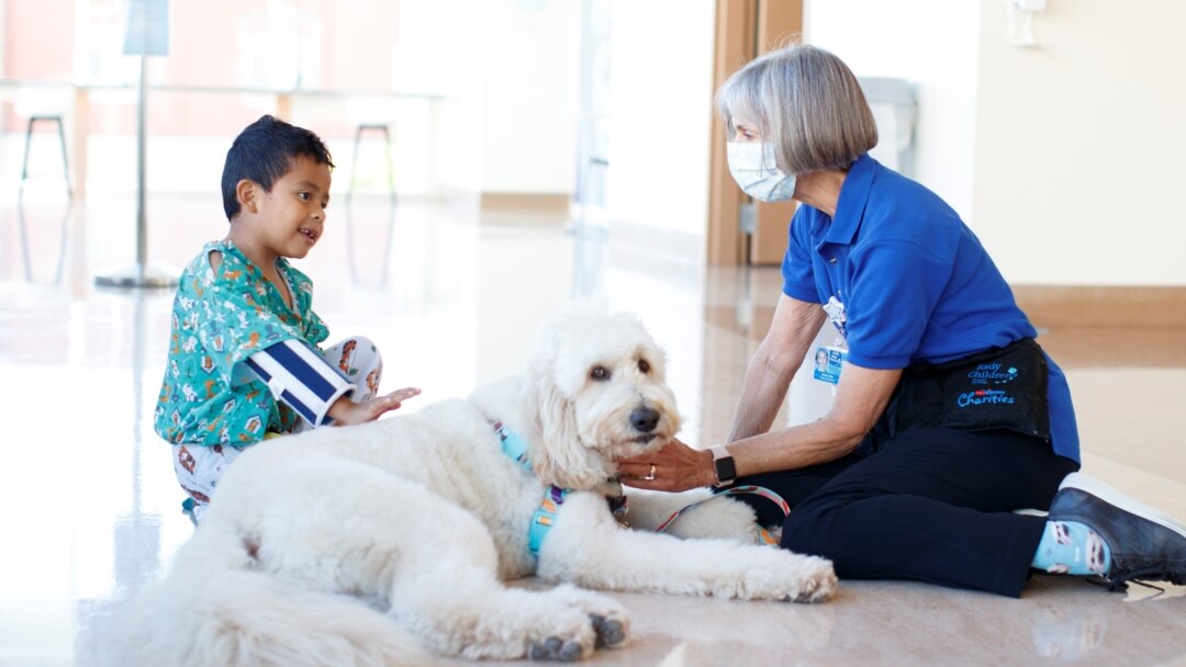 are therapy dogs allowed in hospitals