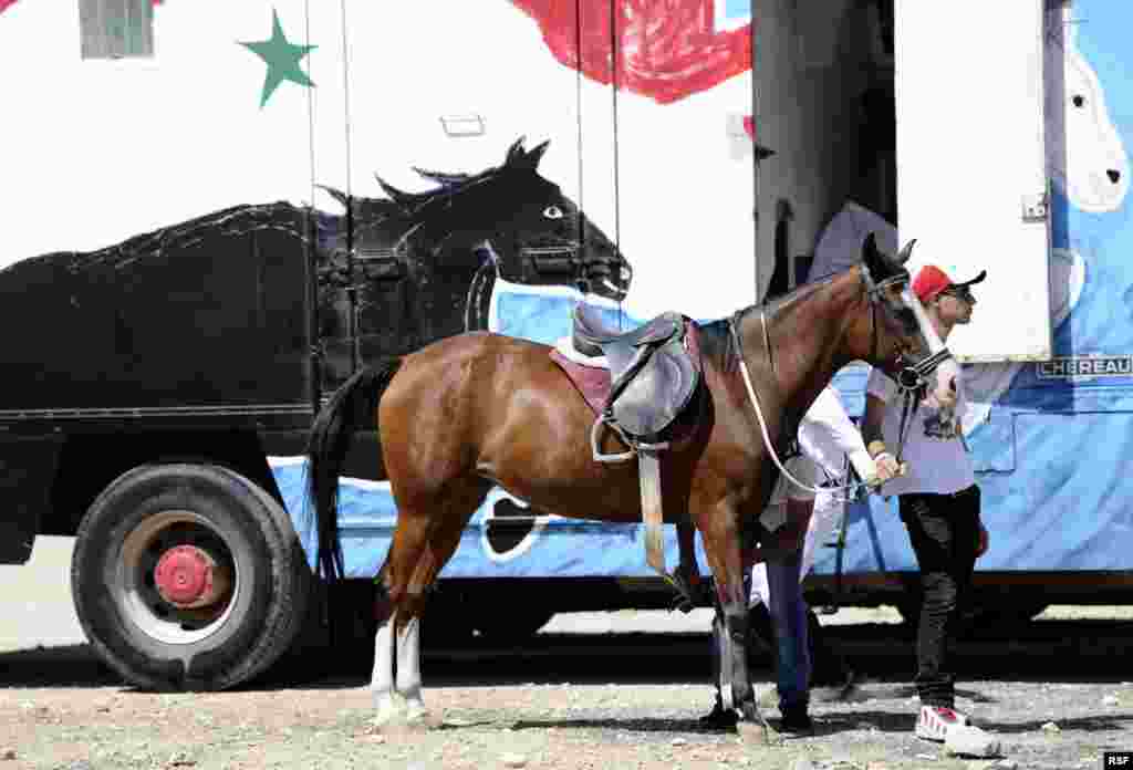 Một thành viên của Câu lạc bộ Thể thao Cảnh sát đứng cạnh một con ngựa trong một cuộc diễu hành, tổ chức cùng lúc với một lễ hội ngựa Ả-rập để ăn mừng việc Tổng thống Syria Bashar al-Assad tái đắc cử tại Damascus, Syria.