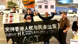 中国民主党洛杉矶集会，支持美国会“香港人权与民主法案”