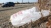 Plastic Bags: To Ban or Not to Ban?
