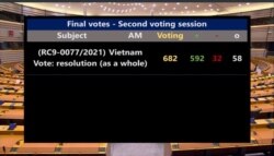 Nghị viện EU ra nghị quyết về Việt Nam, ngày 21/1/2021. Photo Twitter Nghị viên Anna Cavazzini
