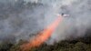 Kebakaran Hutan di Australia, 20 Rumah Ikut Terbakar