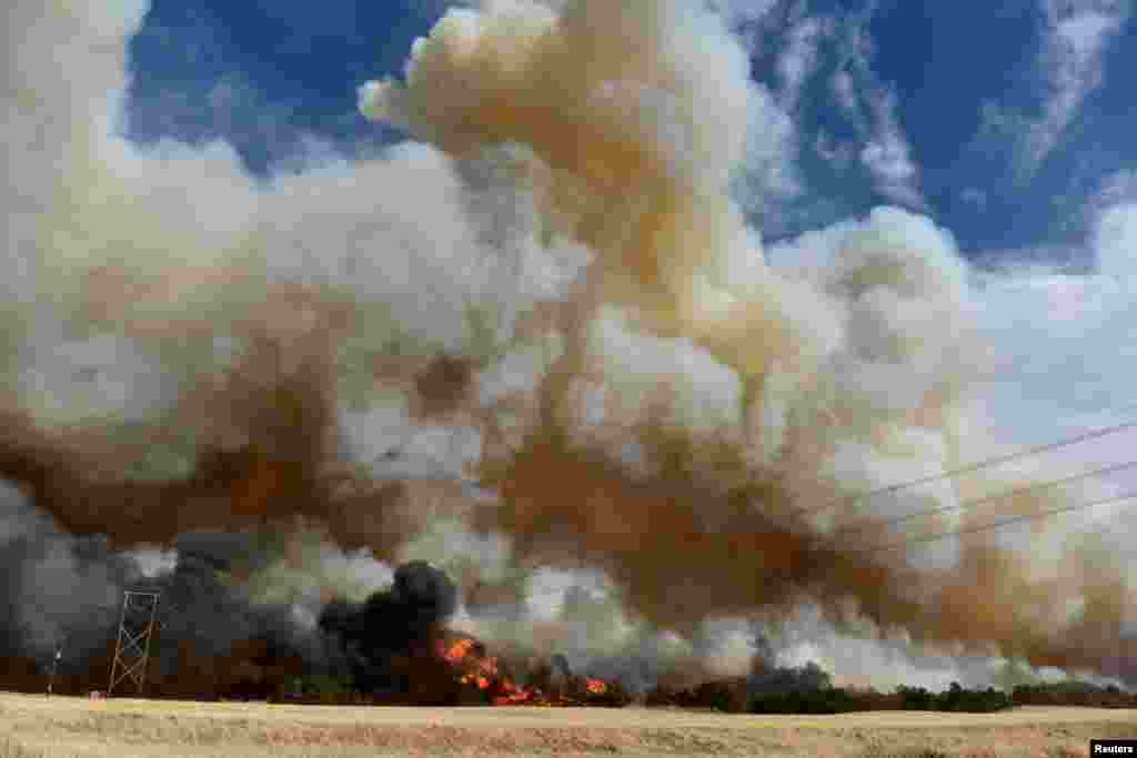 The Rhea fire burns through a grove of red cedar trees near Seiling, Oklahoma, April 17, 2018.