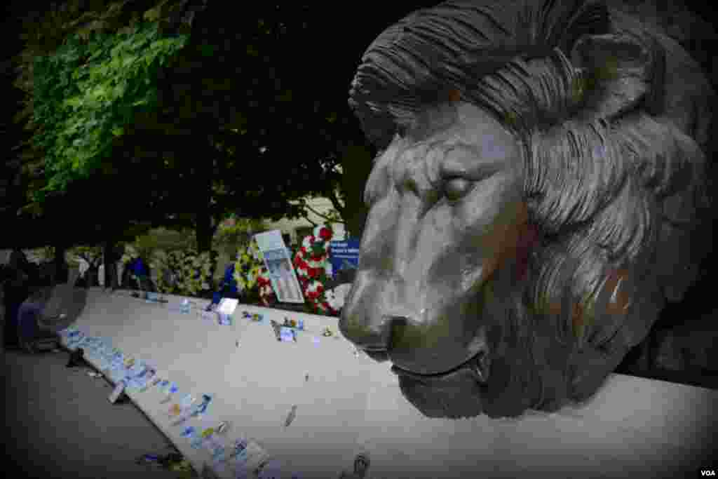 Скульптура льва. Национальный мемориал памяти погибшим правоохранителям