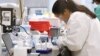 Scientists Warn of Going Too Fast to Develop Coronavirus Vaccine 