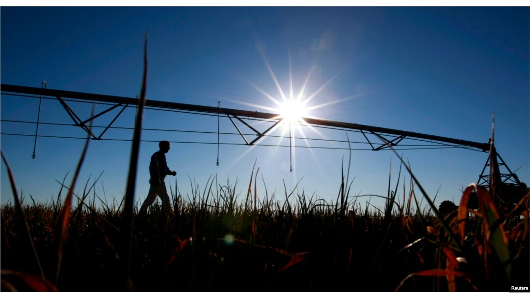FILE - Farmer Ian Shippen walks past a mobile irrigation boom on a dying oat crop on his farm in the heart of Australia's Murray-Darling river basin outside Moulamein, about 600km (373miles) west of Canberra, Aug. 24, 2007.
